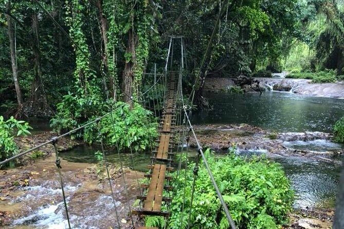 Bridges of Eden with Yumi Tours - Exploring the Bridges of Eden: An In-Depth Look