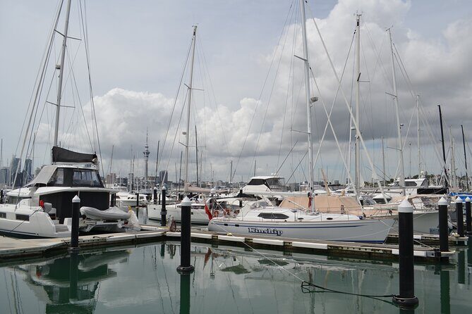 Bright Mornings in Auckland - FAQ