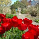 Brighton City Bike Tour - Final Thoughts