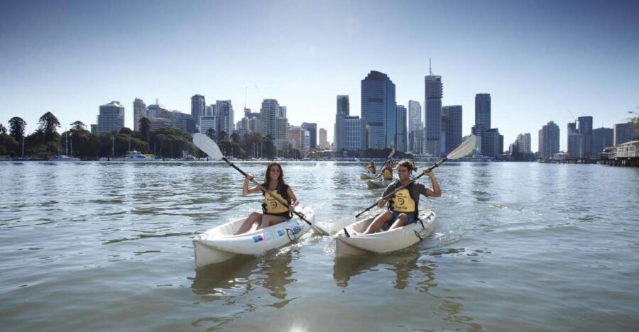 Brisbane: 2-Hour Kayak Hire on Brisbane River - An Honest Look at the Brisbane Kayaking Experience