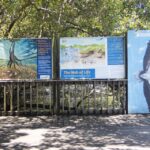 Brisbane: Kangaroos, Birds and Mangroves Coastal Tour - Assessing the Value and Overall Experience