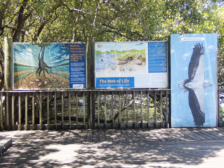 Brisbane: Kangaroos, Birds and Mangroves Coastal Tour - Assessing the Value and Overall Experience