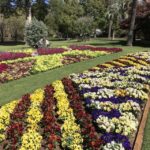 Brisbane: Personal Southeast Queensland Tour - The Details That Make a Difference