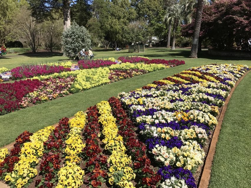 Brisbane: Personal Southeast Queensland Tour - The Details That Make a Difference