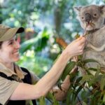 Brisbane Private Shore Excursions with Lone Pine Koala Sanctuary - A Deep Dive into Brisbane’s Private Shore Excursion