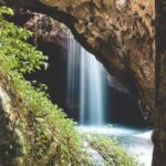 Brisbane: Rainforests, Waterfalls and Glow Worm Cave Tour - First Stop: Curtis Falls & Tamborine Mountain Views