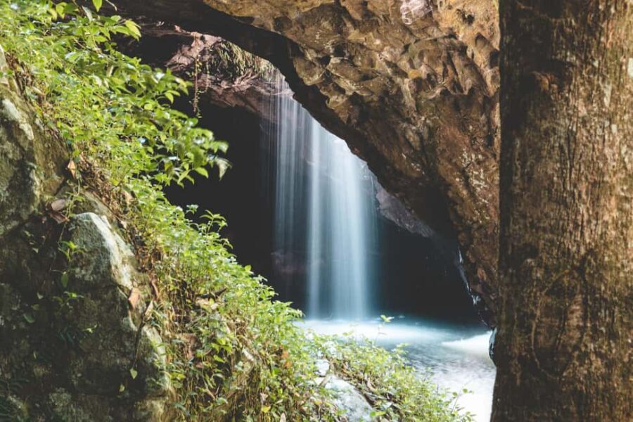 Brisbane: Rainforests, Waterfalls and Glow Worm Cave Tour - First Stop: Curtis Falls & Tamborine Mountain Views