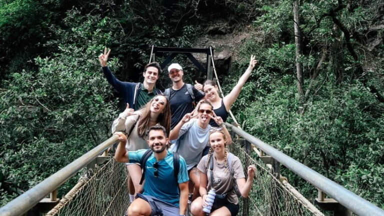 Brisbane: Springbrook 7 Waterfalls and Natural Bridge Tour - Wildlife and Environment