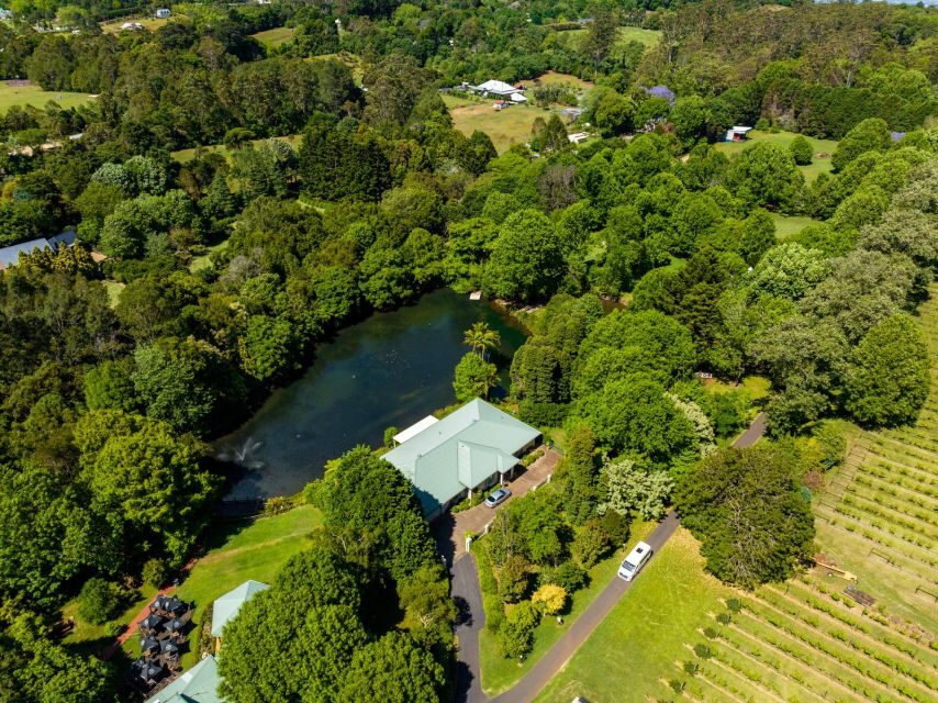 Brisbane: Tamborine Mountain Local Winery Tour with Lunch - A Detailed Look at the Tour Experience