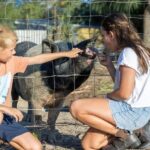 Brisbane: Trevena Glen Farm 1hr Animal Experience - Who Should Consider This Experience?