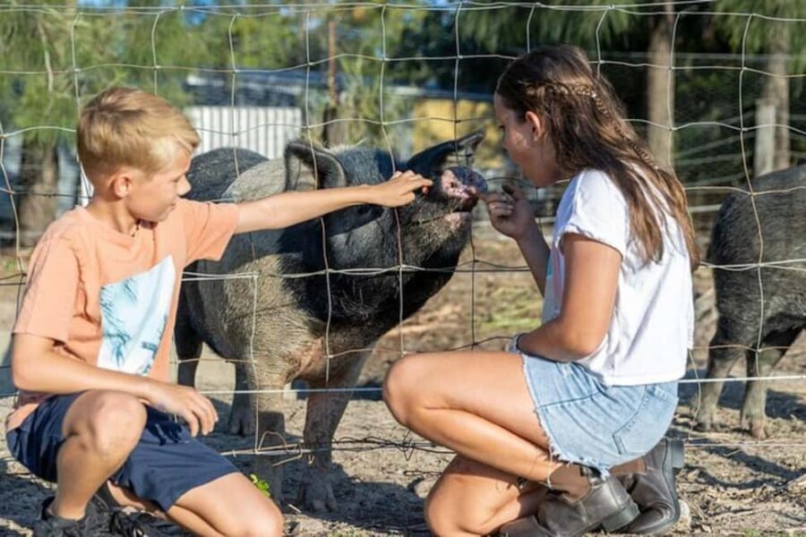Brisbane: Trevena Glen Farm 1hr Animal Experience - Who Should Consider This Experience?