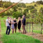 Brisbane: Wine & Dine In The Vines - Practical Tips