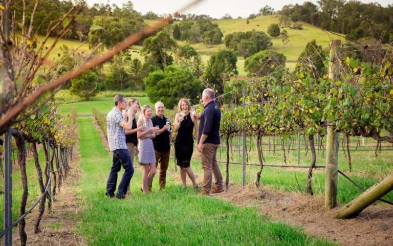 Brisbane: Wine & Dine In The Vines - Practical Tips