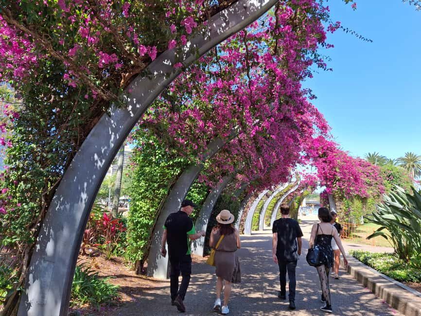 Brisbane's Popular Sights in Half Day VIP Private Tour - What Makes It Worthwhile?