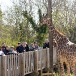 Bristol: Bristol Zoo Project Entry Ticket - Key Points