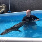 Bristol: Crocodile Swimming Experience coffee and cake - Authenticity and the Human Side of the Experience
