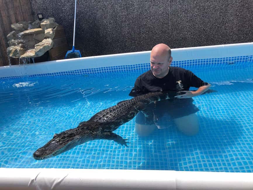Bristol: Crocodile Swimming Experience coffee and cake - Authenticity and the Human Side of the Experience