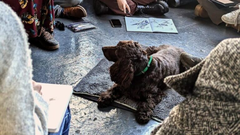 Bristol: Dog Life Drawing led by local Artist Cai Burton - An Authentic Bristol Experience: Dog Life Drawing with Cai Burton