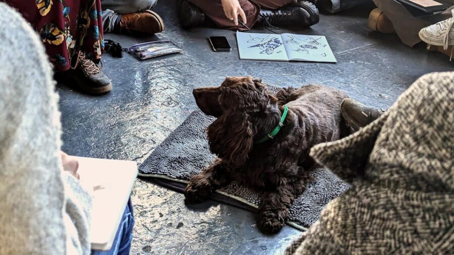 Bristol: Dog Life Drawing led by local Artist Cai Burton - An Authentic Bristol Experience: Dog Life Drawing with Cai Burton