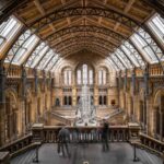 British Museum: Rosetta Stone, Parthenon Sculptures, Egypt - Exploring London’s British Museum: A Detailed Review