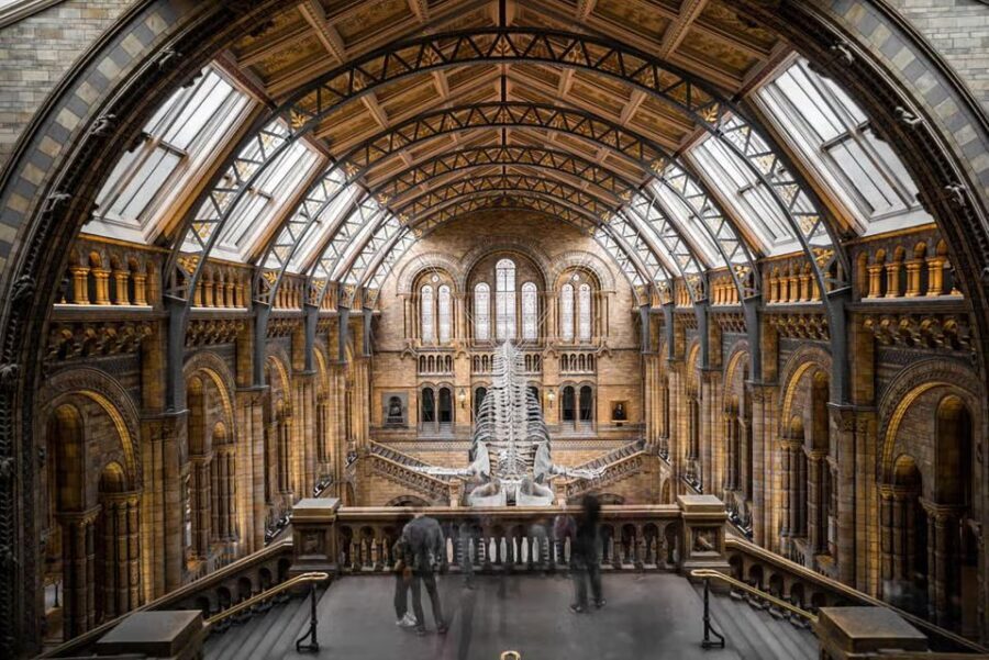 British Museum: Rosetta Stone, Parthenon Sculptures, Egypt - Exploring London’s British Museum: A Detailed Review