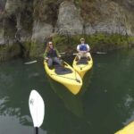 Brookings: Pacific Ocean Kayak Tour - Who Will Love This Tour?