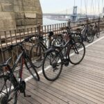 Brooklyn: 2-Hour Manhattan & Brooklyn Bridges Bike Tour - Who Should Consider This Tour?