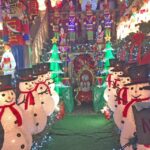 Brooklyn: Dyker Heights Christmas Walking Tour - The Neighborhood and Its Unique Charm