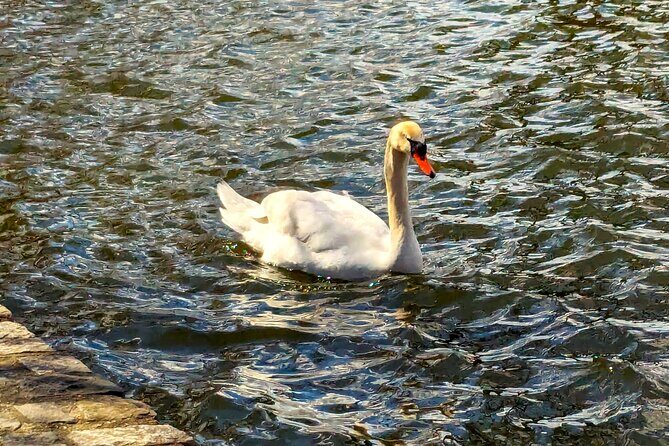 Brooklyns Oasis: Audio Guide to Prospect Park - What Reviewers Love About the Tour