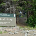 Brooks Falls Katmai Bear Viewing in a Float Plane - Who Will Love This Tour?