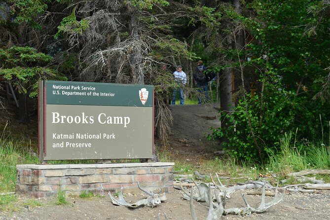 Brooks Falls Katmai Bear Viewing in a Float Plane - Who Will Love This Tour?