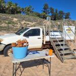 Broome: 45-Minute Pre-Sunset Cable Beach Camel Ride - Who Will Love This?