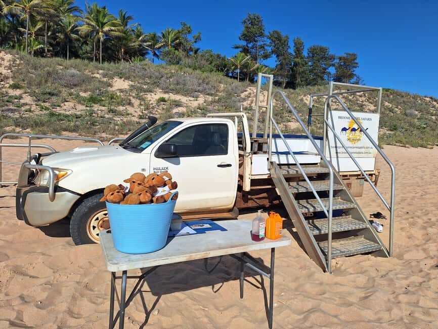 Broome: 45-Minute Pre-Sunset Cable Beach Camel Ride - Who Will Love This?