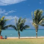 Broome: Half-Day Beach and Sunset Tour - Authentic Traveler Insights from Reviews