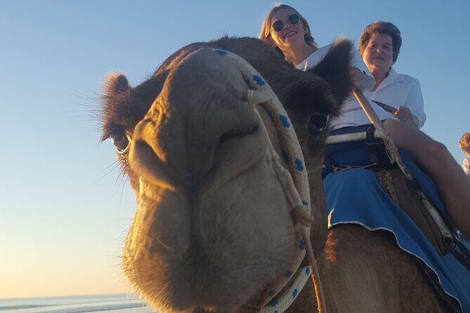Broome Pre-sunset Camel Tour 30 minutes - The Practical Side – What You Need to Know