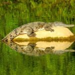 Broome to Darwin: 10 Day Kimberley Tour - Authentic Experiences and Authentic Guides