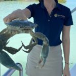 Broome's only Crabbing Adventure & Wildlife Cruise - Who Will Enjoy This Tour?