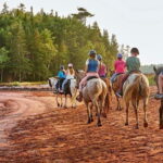 Brudenell: Family-Friendly Horse Ride goes on the Beach - Why This Tour Is a Great Choice