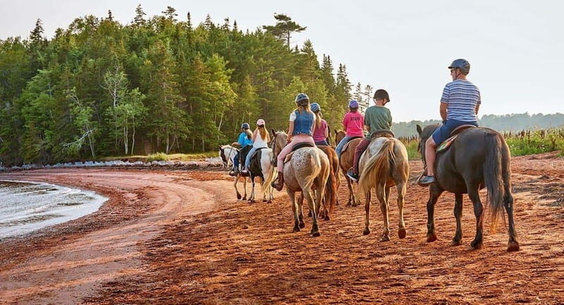 Brudenell: Family-Friendly Horse Ride goes on the Beach - Why This Tour Is a Great Choice