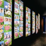 Bruges: Frietmuseum Entry Ticket - Who Will Love This Tour?