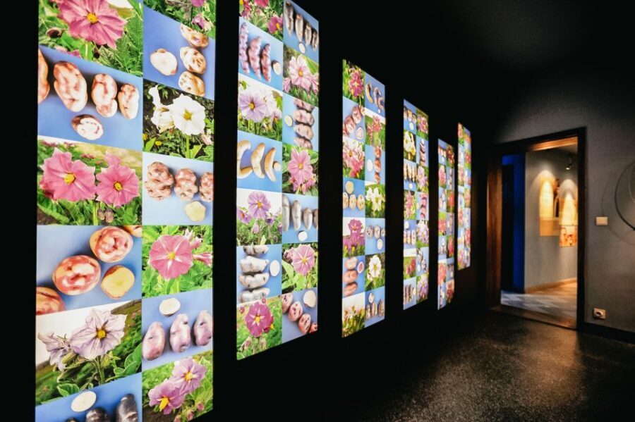 Bruges: Frietmuseum Entry Ticket - Who Will Love This Tour?