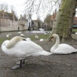 Bruges: Private Interactive Trivia City Tour - A Closer Look at the Interactive Trivia Experience in Bruges