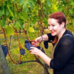 Brunello and Nobile, Wine Lover Tour Montalcino and Montepulciano - The Sum Up