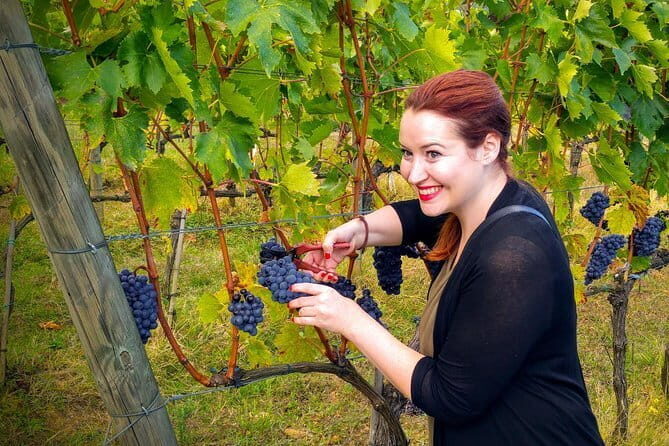 Brunello and Nobile, Wine Lover Tour Montalcino and Montepulciano - The Sum Up