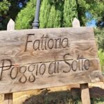 Brunello di Montalcino 2 Top Wineries full day Limousine Service - Final Thoughts: Who Is This Tour Best For?