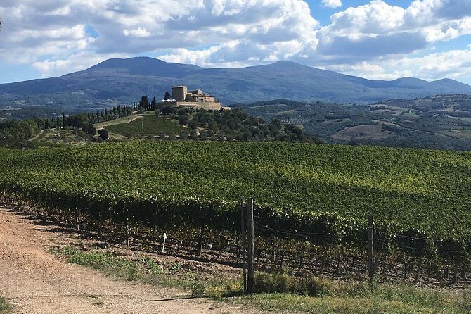 Brunello E-Bike Tour - A Closer Look at the Brunello E-Bike Tour