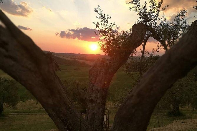 Brunello Wine Tour and Val D'Orcia Landscape - Exploring Tuscany’s Finest in Comfort and Style