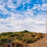 Bruny Island Day Tour Private Charter Service - Detailed Breakdown of the Itinerary