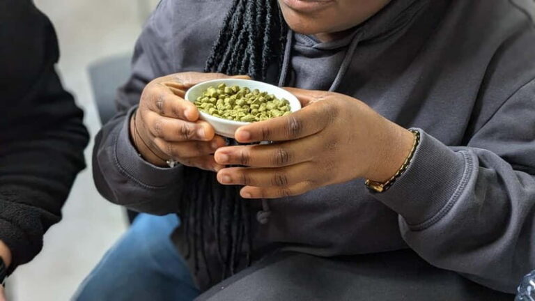 Brussels: beer tasting workshop in a micro brewery - A Detailed Look at the Brussels Beer Tasting Workshop