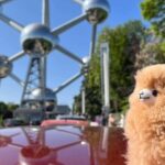 Brussels Day Trip from Paris or Amsterdam by Mini-Van - Walking and Tasting Tour: Discovering Brussels’ Heart